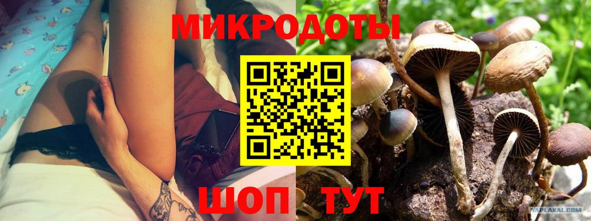 Щёлково  Галлюциногенные грибы мухоморы  Псилоцибиновые грибы Cubensis  Вход с VPN 